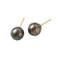 Genuine Seawater Pearl Corlene Earrings