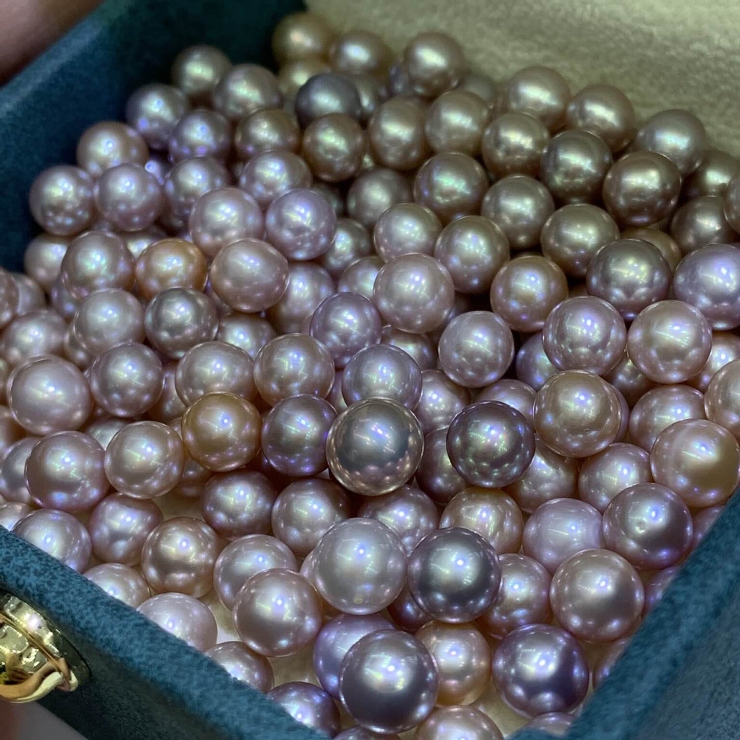 5.5-6mm Freshwater Round AK Purple Grape Pearl