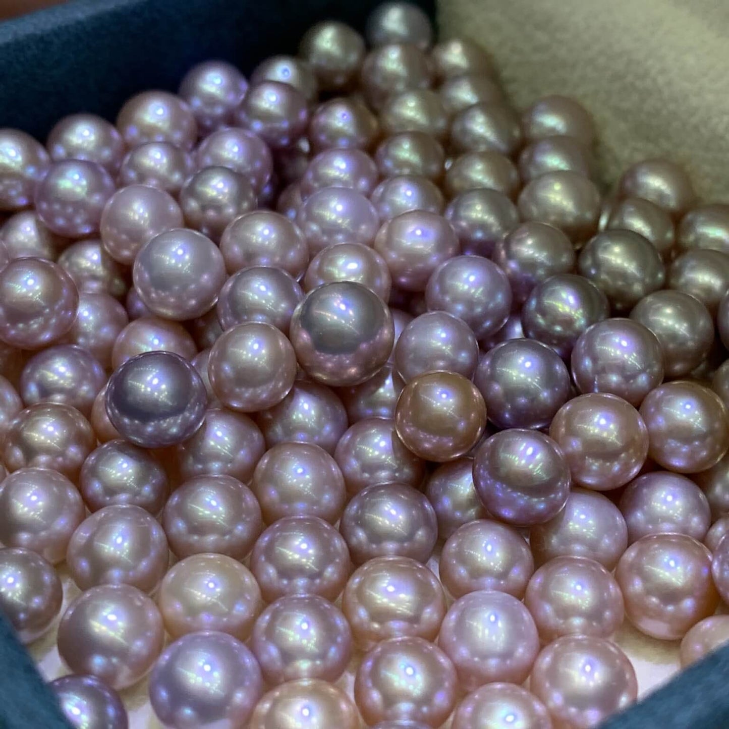 5.5-6mm Freshwater Round AK Purple Grape Pearl